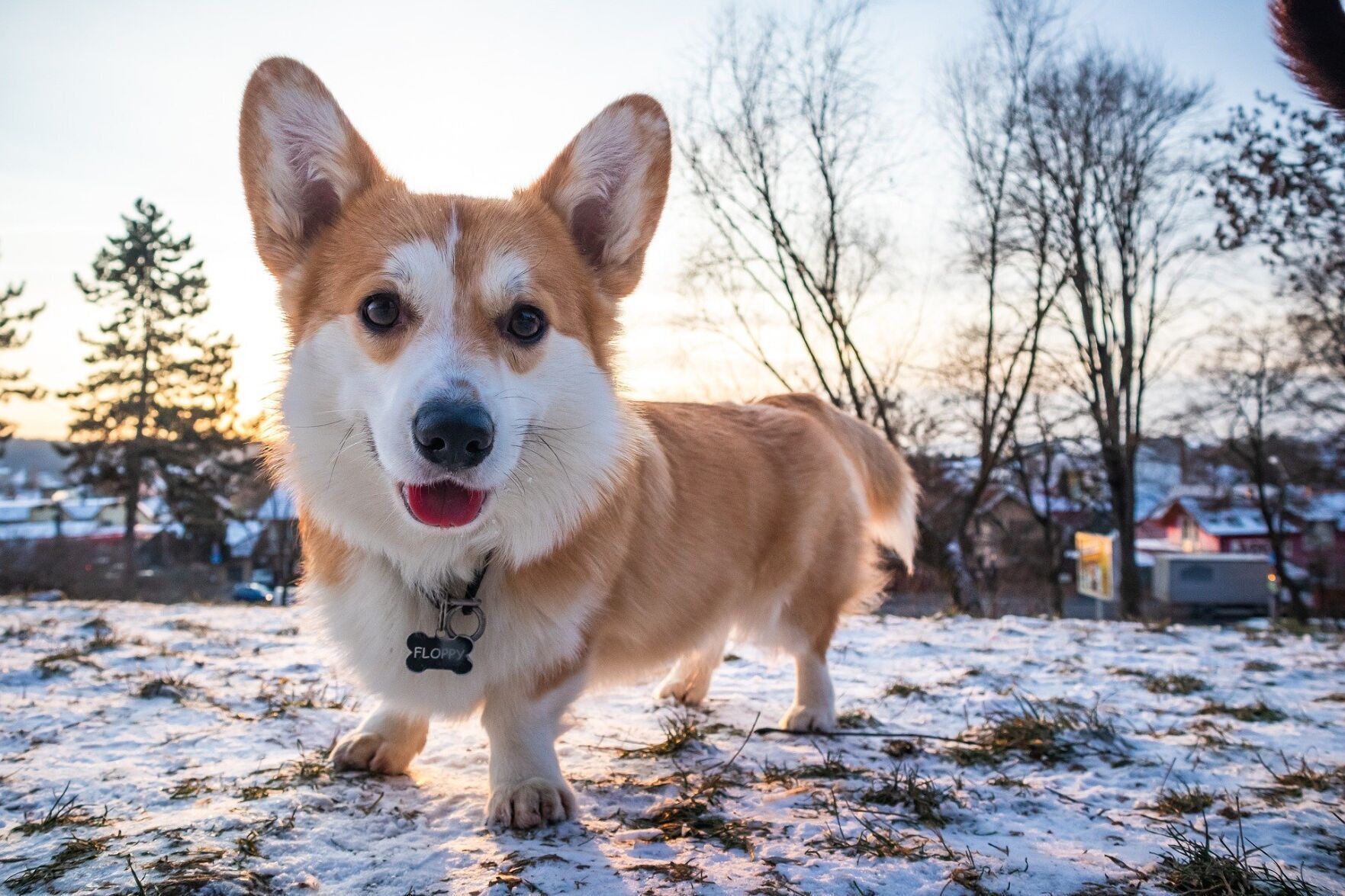 Make a backup plan for everything, especially if you're going somewhere with bad weather.